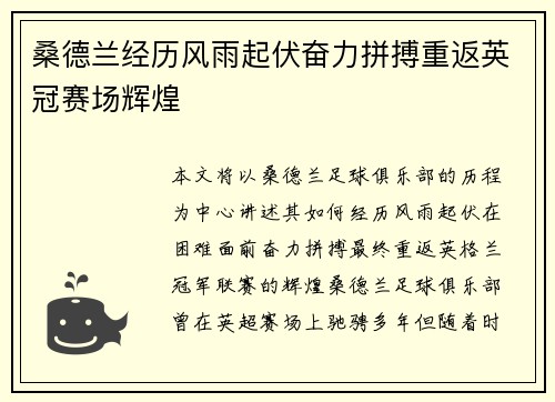 桑德兰经历风雨起伏奋力拼搏重返英冠赛场辉煌